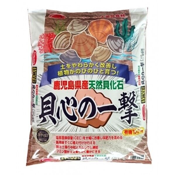 天然貝化石 貝心の一撃 5kg 1個