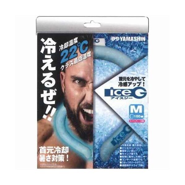 YAMASHIN iceG M ICEG-M 1セット