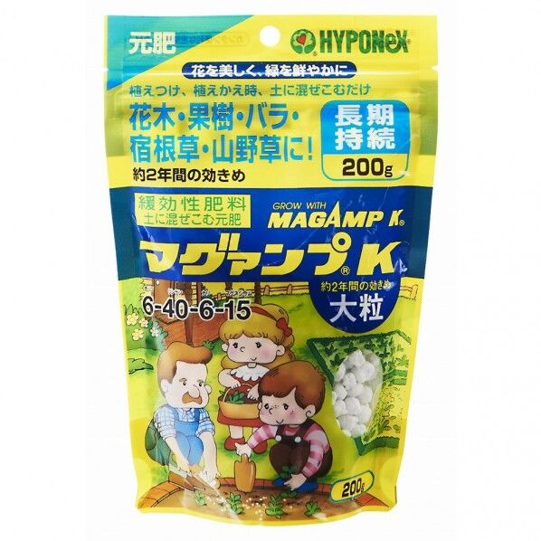 マグァンプK大粒