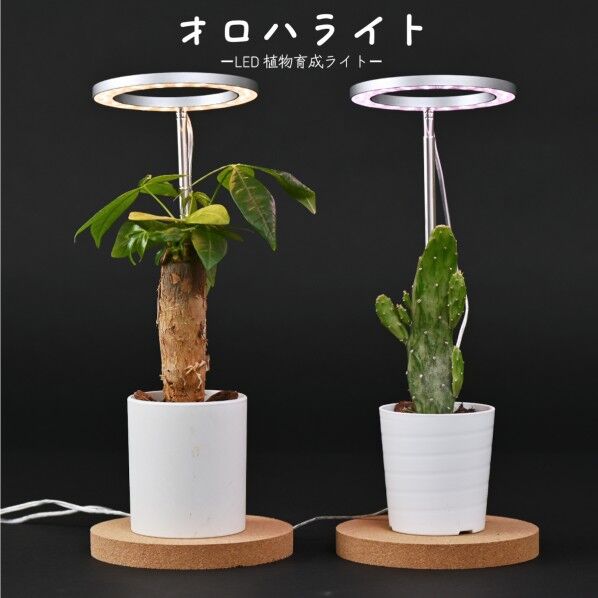 植物育成用LED ぶ厚い 5点セット+α