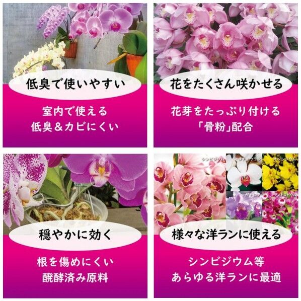 洋ランの肥料 500g 1個