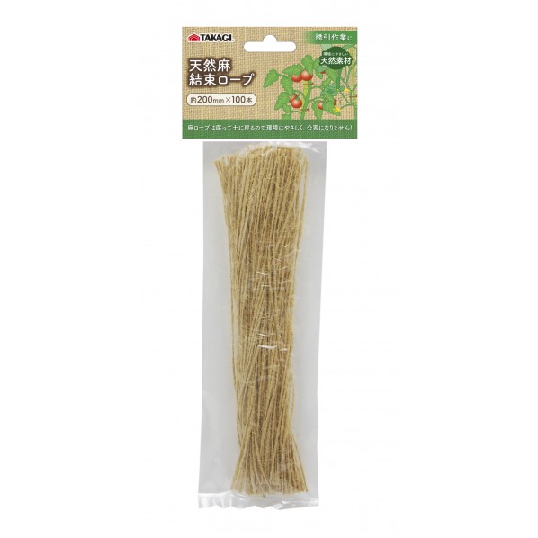 20cm 100本