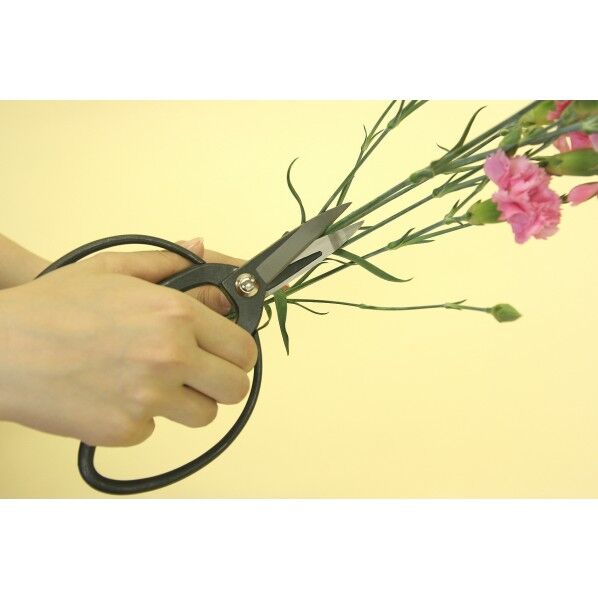 浅香工業 192046 宝長久寛文作刃長大久保鋏鋼付 ｜短納期 - 通販