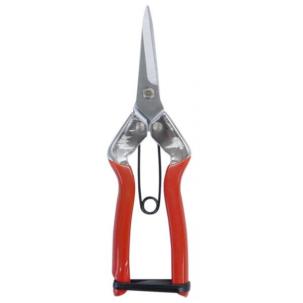 FG 芽切摘果用菜園鋏 FG-S140R