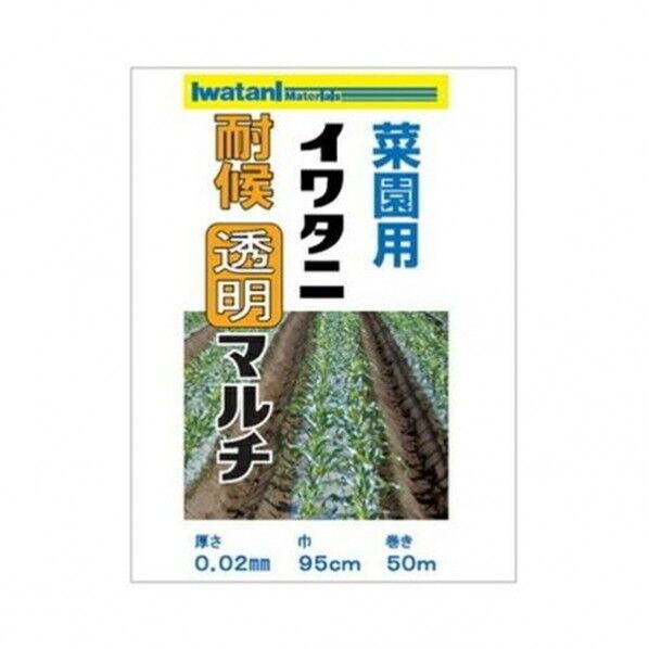イワタニ 菜園用透明マルチ 0.02mm×95cm×50m 1個