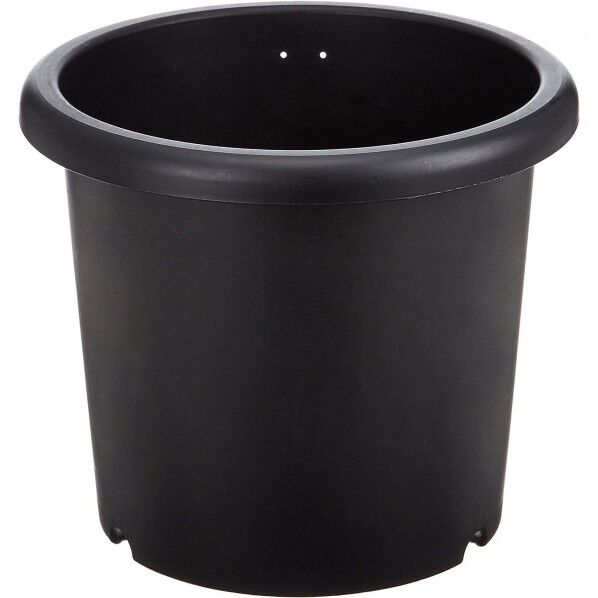 菊鉢8号 ブラック 1点