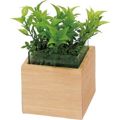 卓上ポット カップ付 GR4084 1