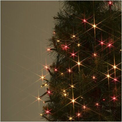 ローボルト LEDストレート