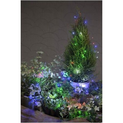 電池式 LEDクラスター マルチ(ブルー・レッド・グリーン・ホワイト) 3.9m LGB-CL60M 1