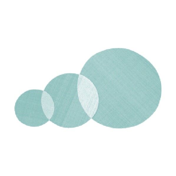 ブフナー用目皿網80φ #838 198-19-08-22 10点