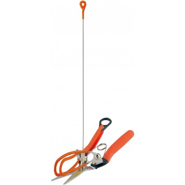 アスパラ収穫鋏