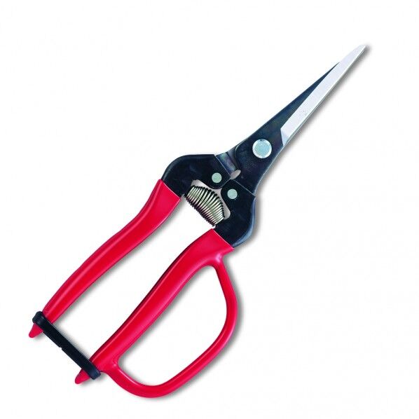 摘果鋏エクストラロングタイプガード付