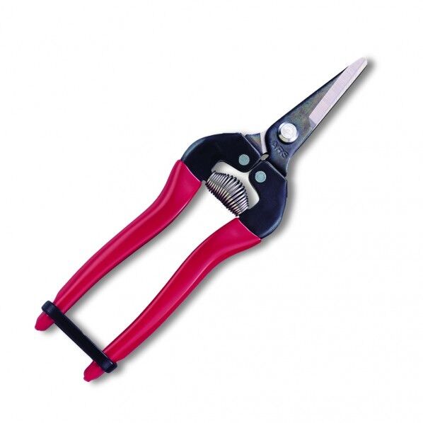 摘果鋏ショートタイプブリスタパック入り