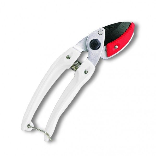 ミニエースデラックス