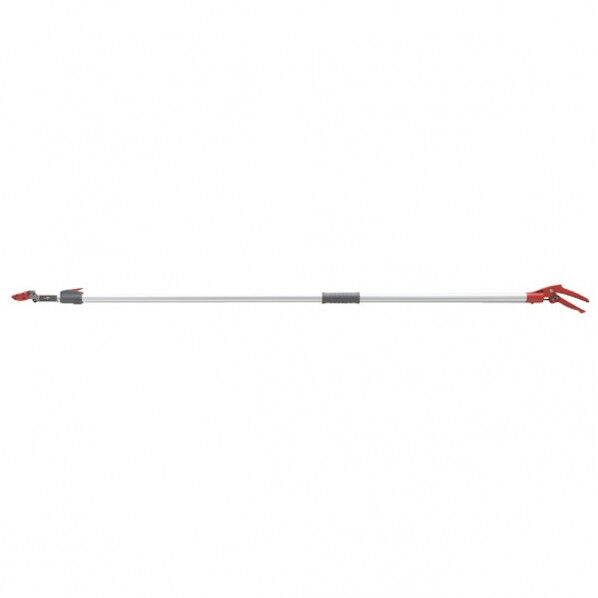 本家のびる高枝