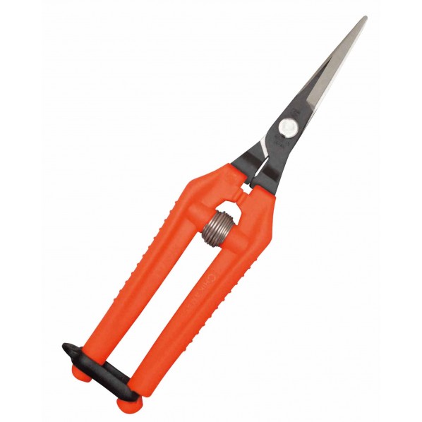 ウルトラライト