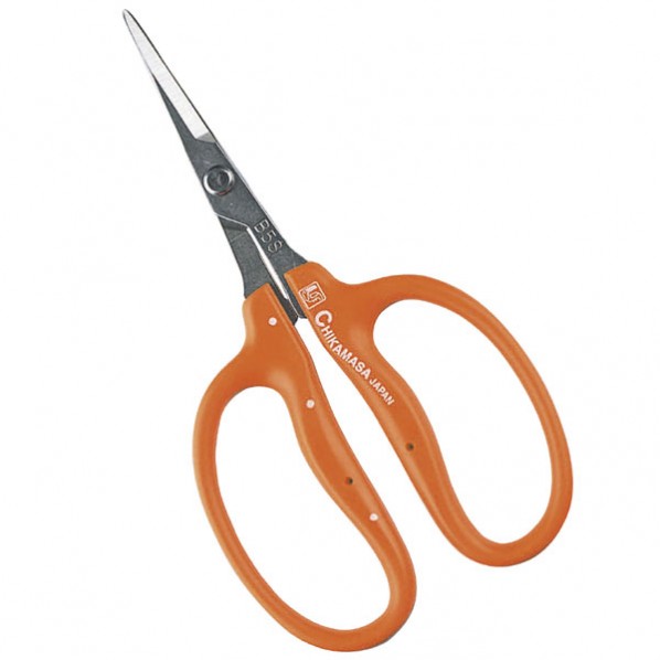 全長:155mm 1つ