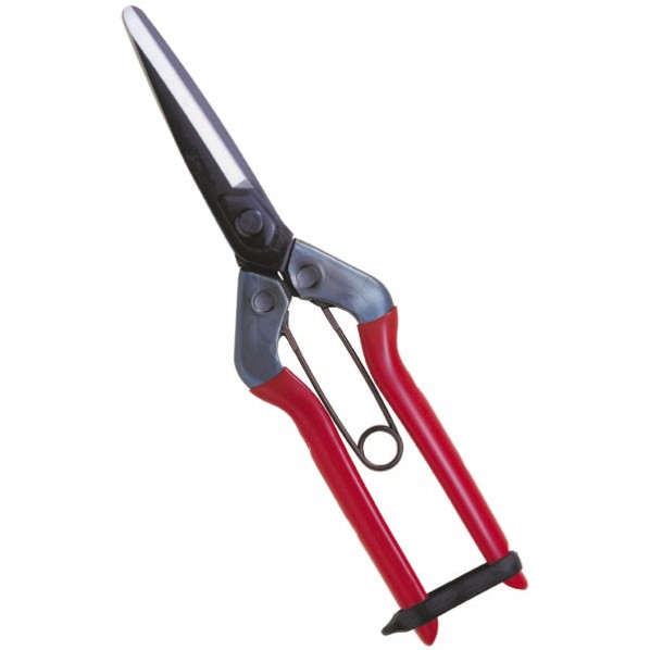 青果鋏 先丸長刃 全長:210mm 1つ