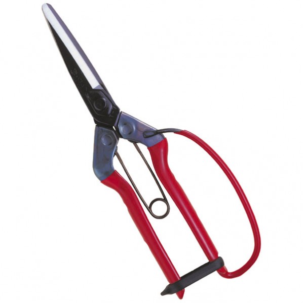 青果鋏先丸長刃ガード付 全長:215mm 1つ