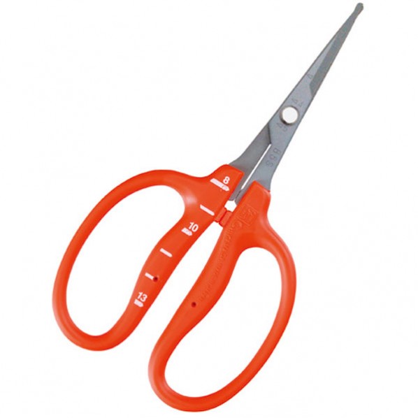 近正 B-500SLMF ステンぶどう鋏 曲先丸フッソ