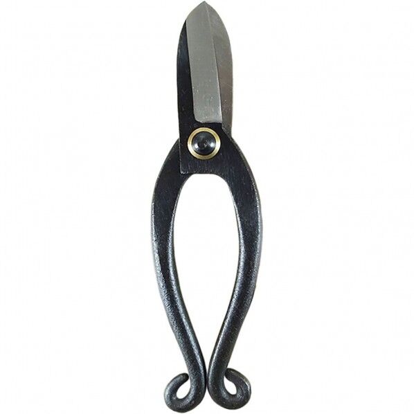 TH 池之坊 DX 601240