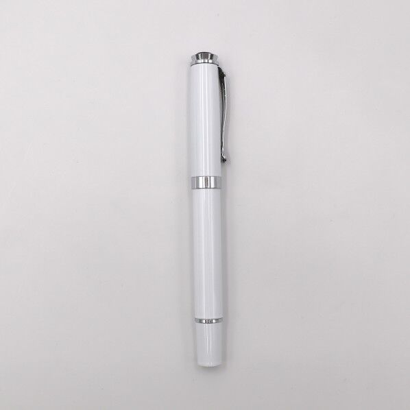 日本出版販売 万年筆 2 WhiteSilver HM173777 1個
