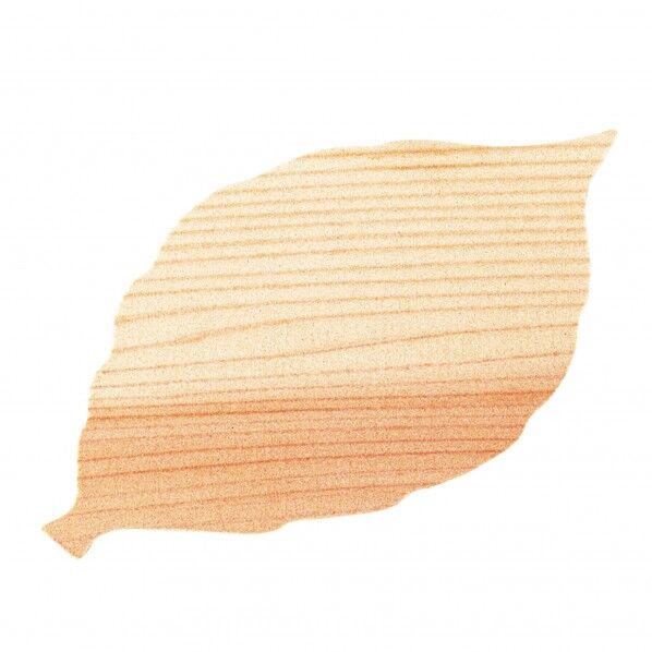 ヤマコー #79397 ウッドペーパー5枚セット このは