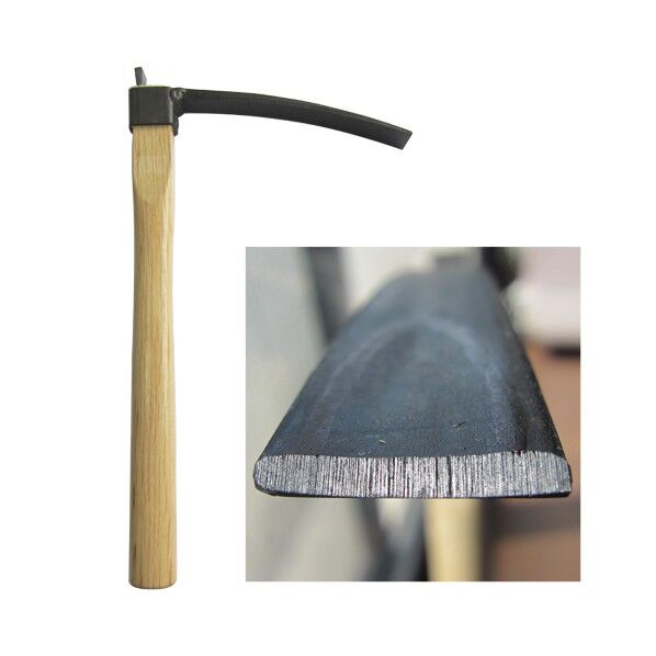 コトンガ 605 1個