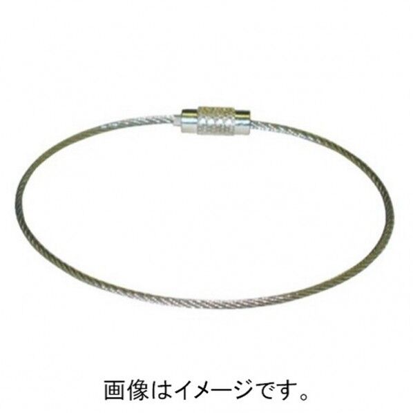 SKE-101 200mm ステンレスキーワイヤー 10P