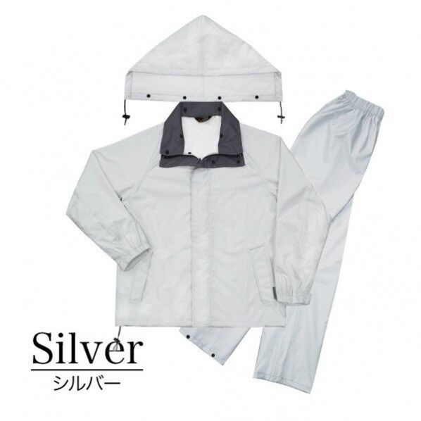 H0312BU ランドワークスVE シルバー S