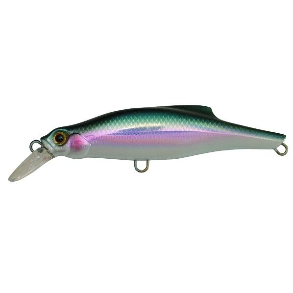 ピンテール 20 NKI 生カタクチ