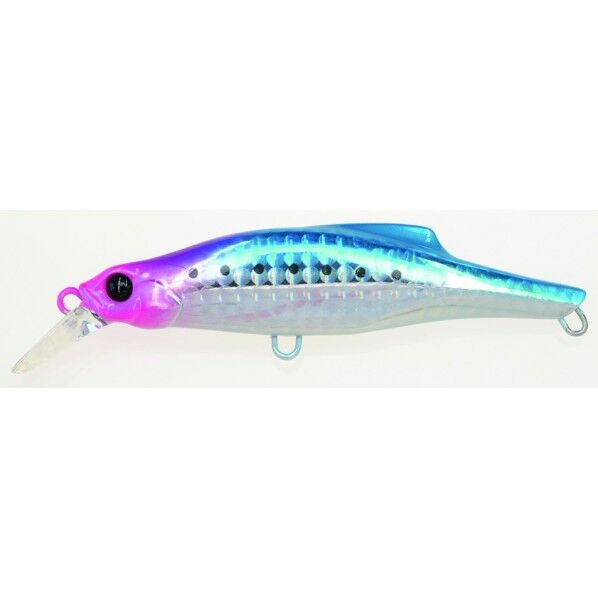 ピンテール 20 NKI 生カタクチ