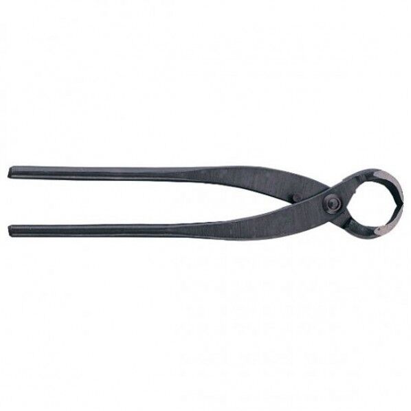 根切 大 1231 1333086 1個