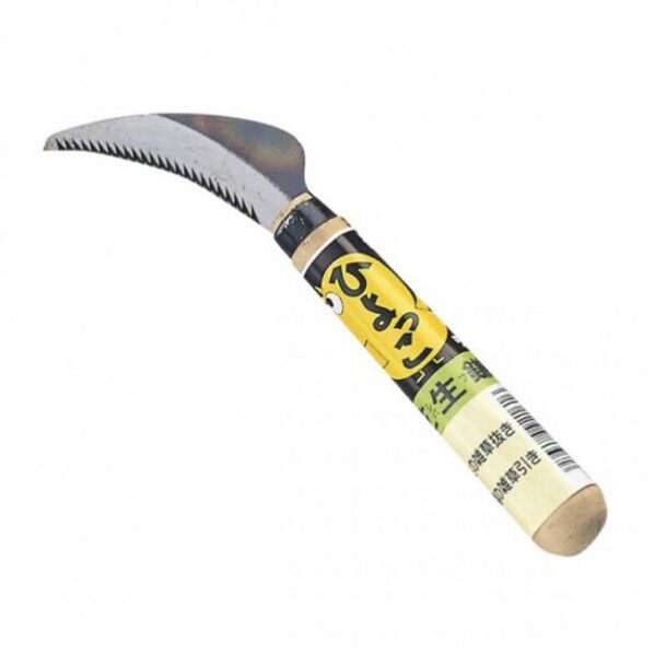 #1613 ひよっこ芝生鎌