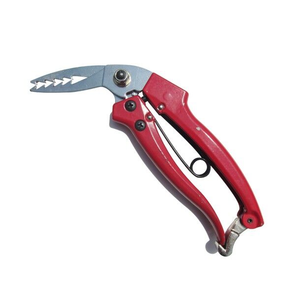 根ひっきー 606 1個