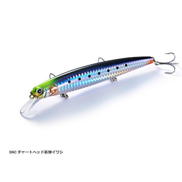 デセプション135 SNC チャートヘッド新鮮イワシ