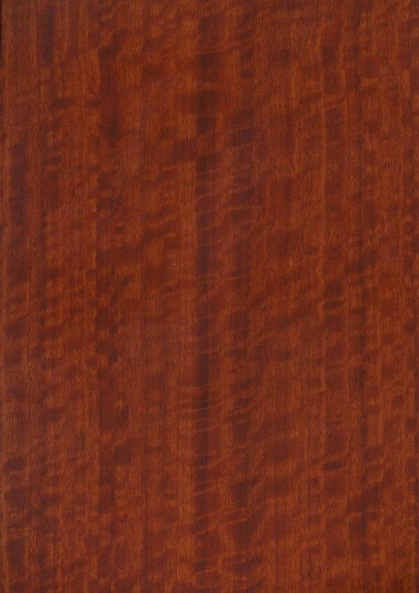 オルティノ 粘着剤付化粧フィルム オーストラリアウッド(ディープレッド) 1,220mm幅x1m VG-18060A 1ロール