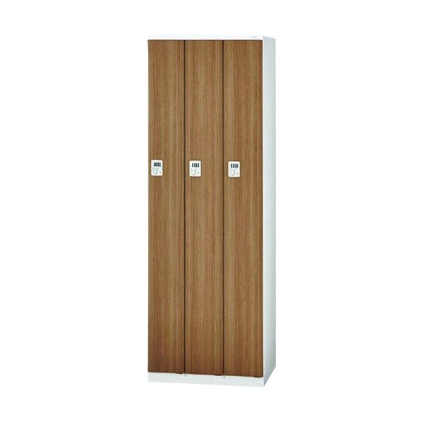 32431)LZロッカー LZ-S3D WC 1点