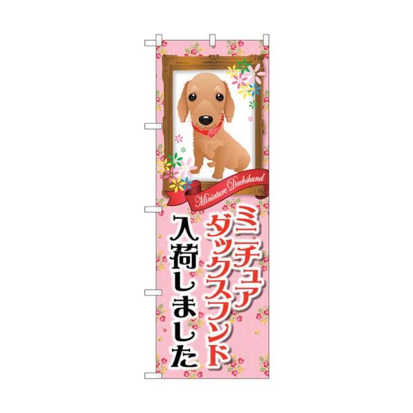 city のぼり旗 ミニチュアダックスフンド入荷 No.GNB-2491 W600×H1800 6300013140 1点