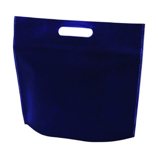 不織布バッグ 保冷 (小判抜き)