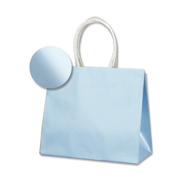 手提げ紙袋 スムースバッグ 24-11 パールカラー ライトブルー 003158608 10枚