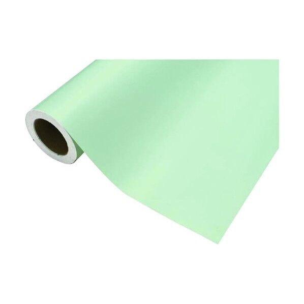 カッティングシート484ミスティミント450mm×12M CS045484R 1点