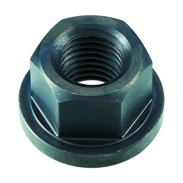 フランジナット ネジ M16 51 x 172 x 29 mm T16M-FN 1点