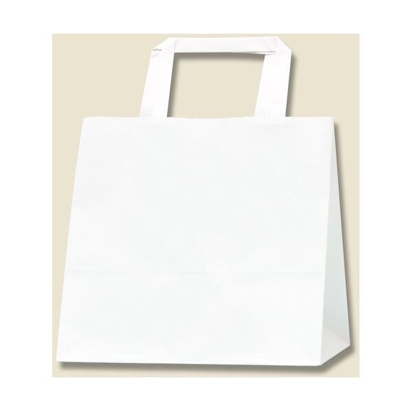 手提げ紙袋 フラットチャームバッグ 平手 白無地 220-1 3277305 1点