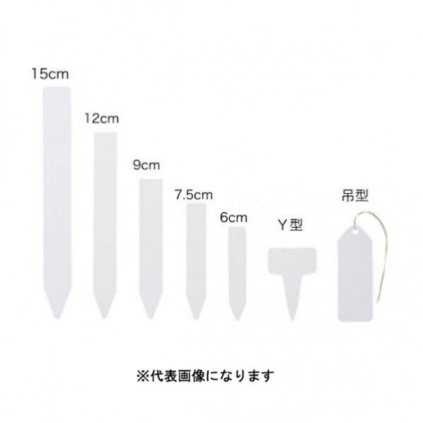 #2663 FGラヘﾞル 9cm 100枚入