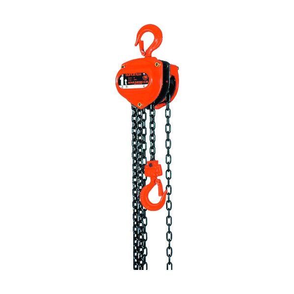手動チェーンブロック 2.5t 揚程6m H02560 1点