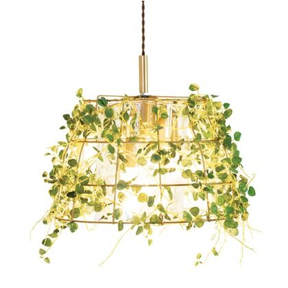 ボタニック 【CT触媒】 ペンダントライト 3灯 Fittonia フィットニア アンティークゴールド サイズ:幅38.5φ×高さ32.5(全高128.5cm CC-40351 1