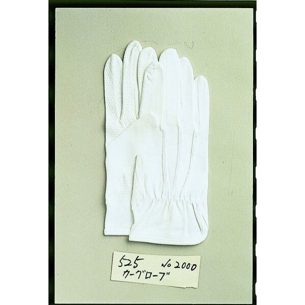 カーグローブNo.2000