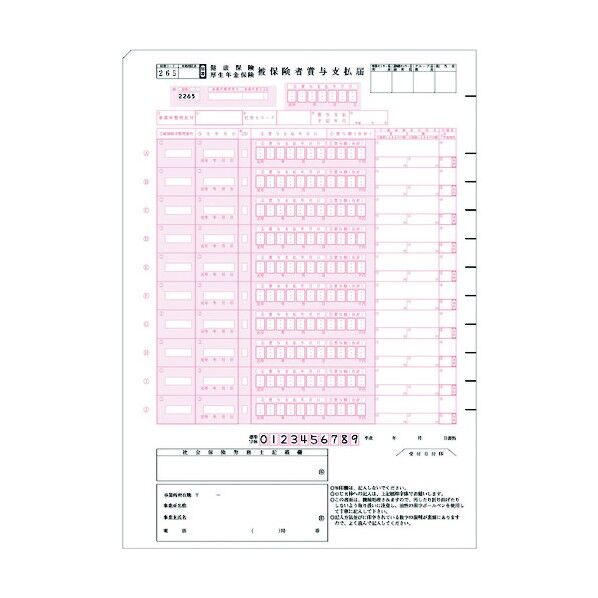 健保賞与支払届 BP1306