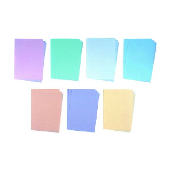 ニュースタクリンRV A4 PPC10冊